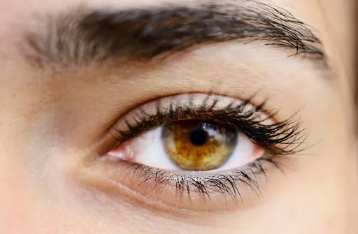 Detailed close-up of a natural eye with refined cashmere lash extensions at Jinny's Eyelash & Beauty Studio